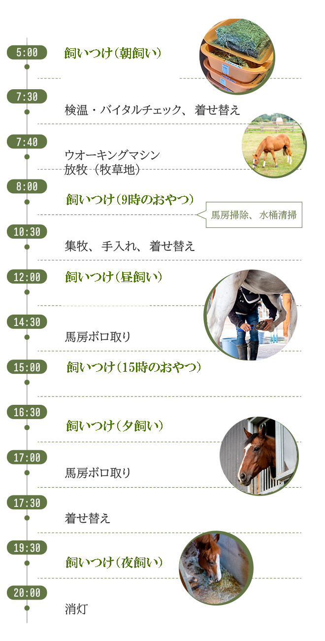 八ヶ岳ホースケア牧場｜預託システム